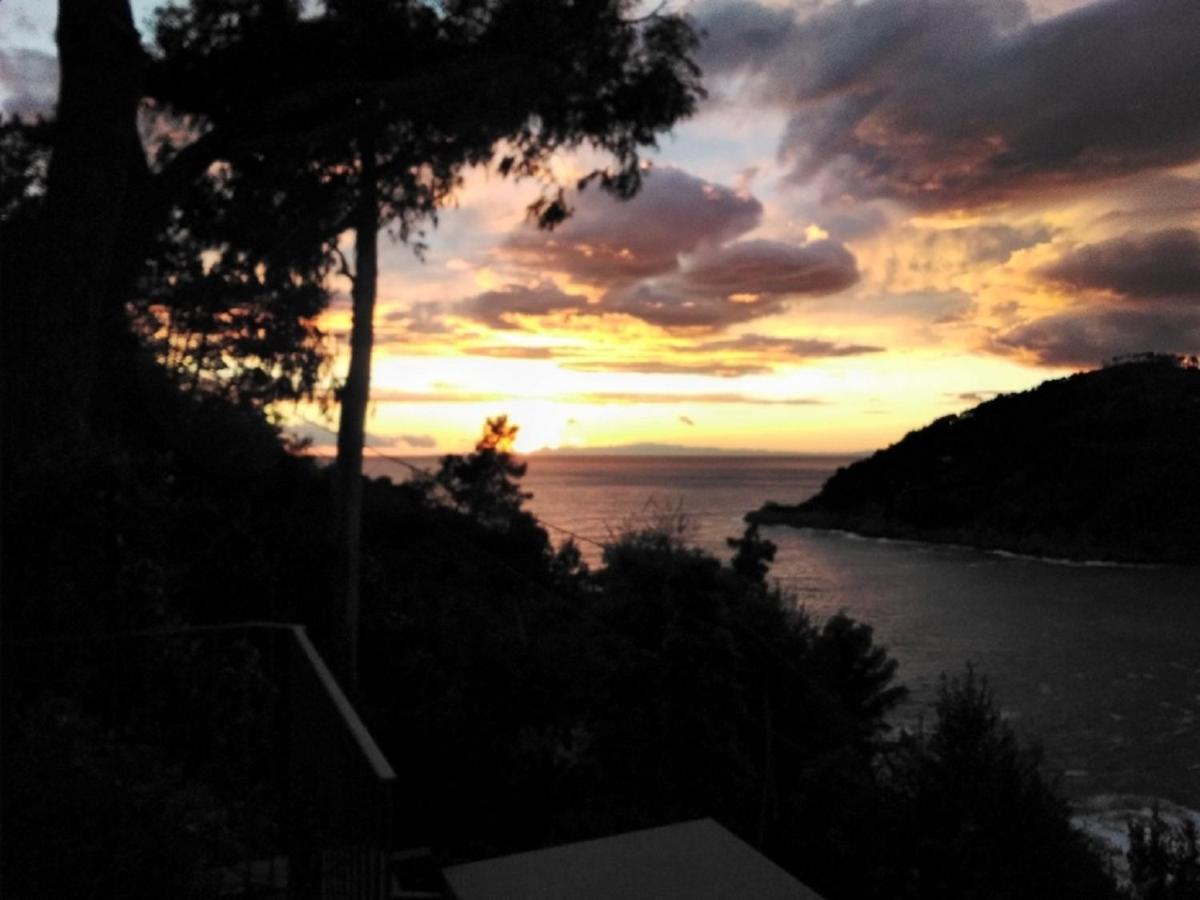 Villa Mimosa Splendida Vista Mare Bonassola Kültér fotó