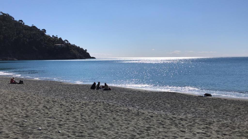 Villa Mimosa Splendida Vista Mare Bonassola Kültér fotó