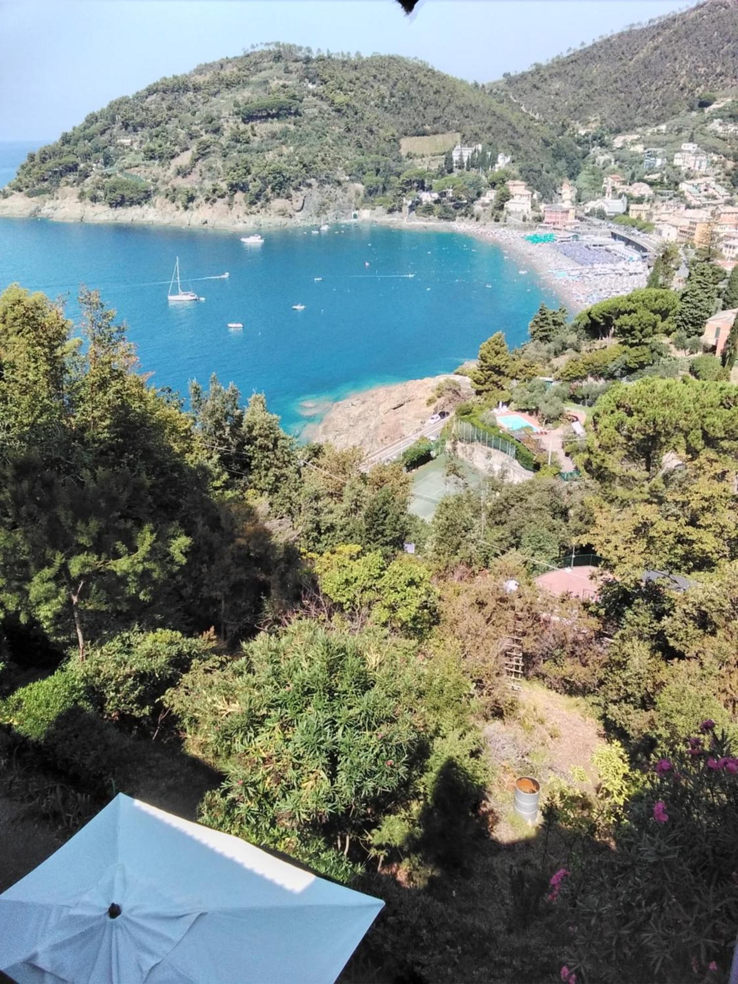 Villa Mimosa Splendida Vista Mare Bonassola Kültér fotó