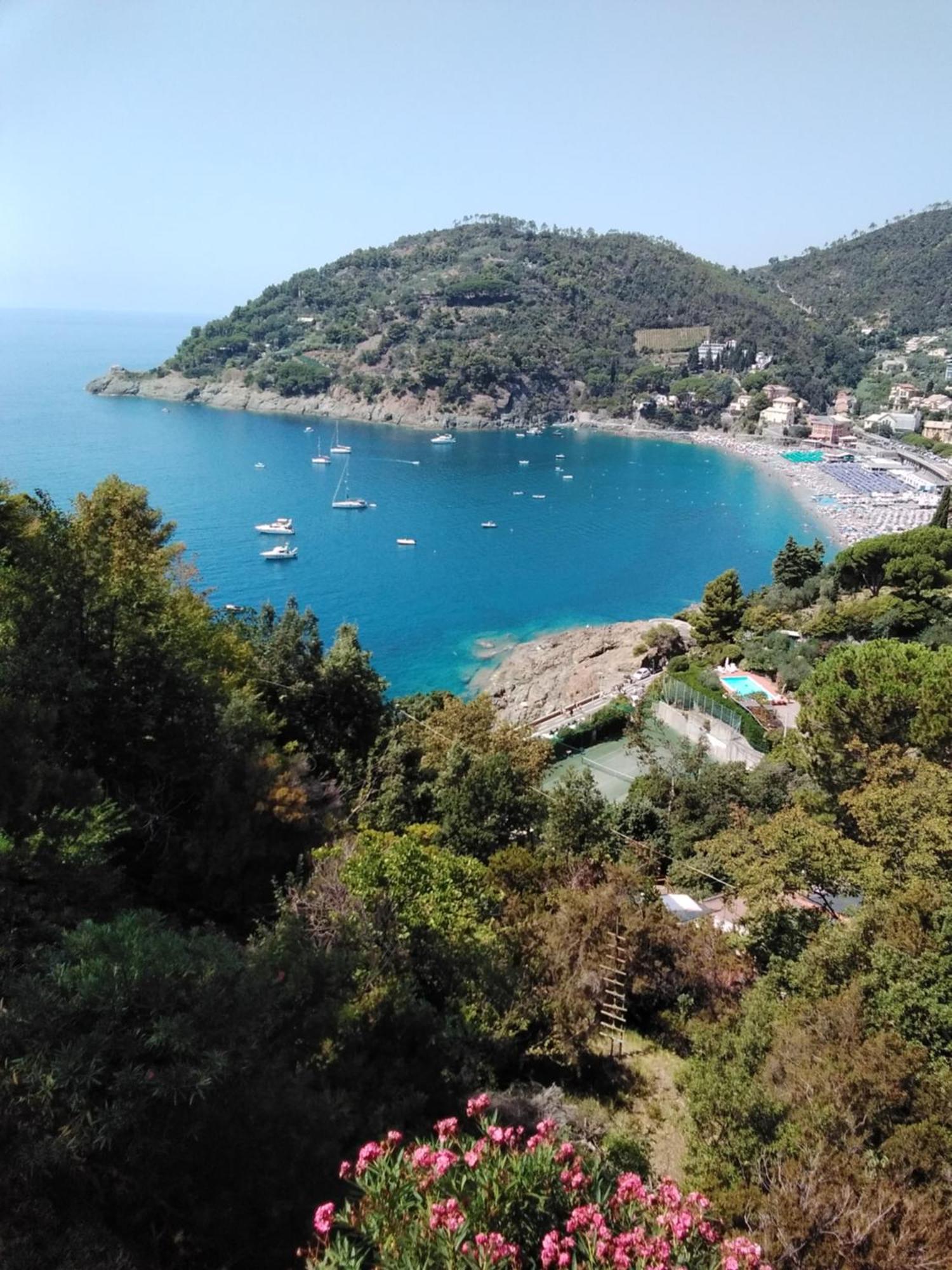 Villa Mimosa Splendida Vista Mare Bonassola Kültér fotó