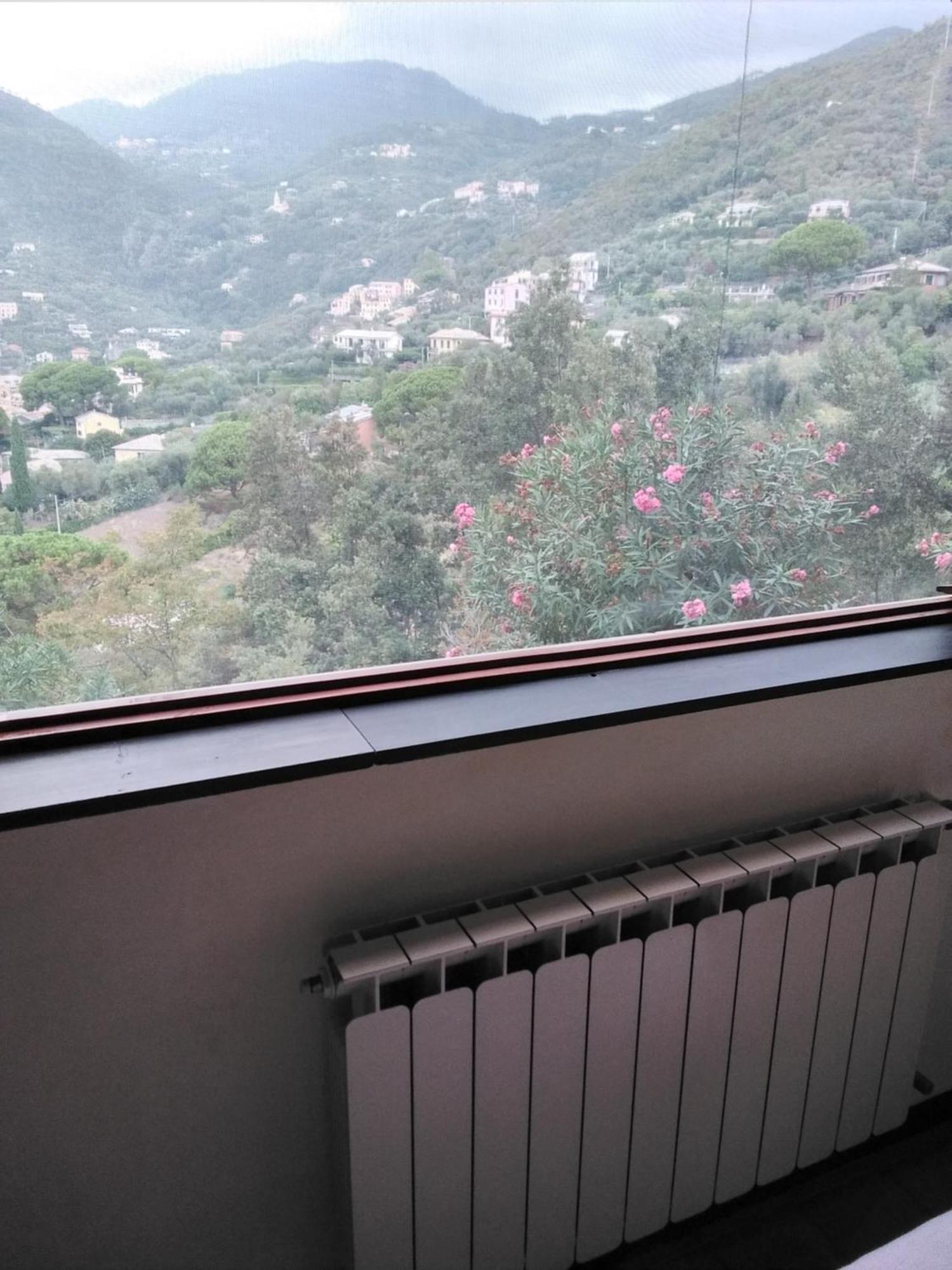 Villa Mimosa Splendida Vista Mare Bonassola Kültér fotó