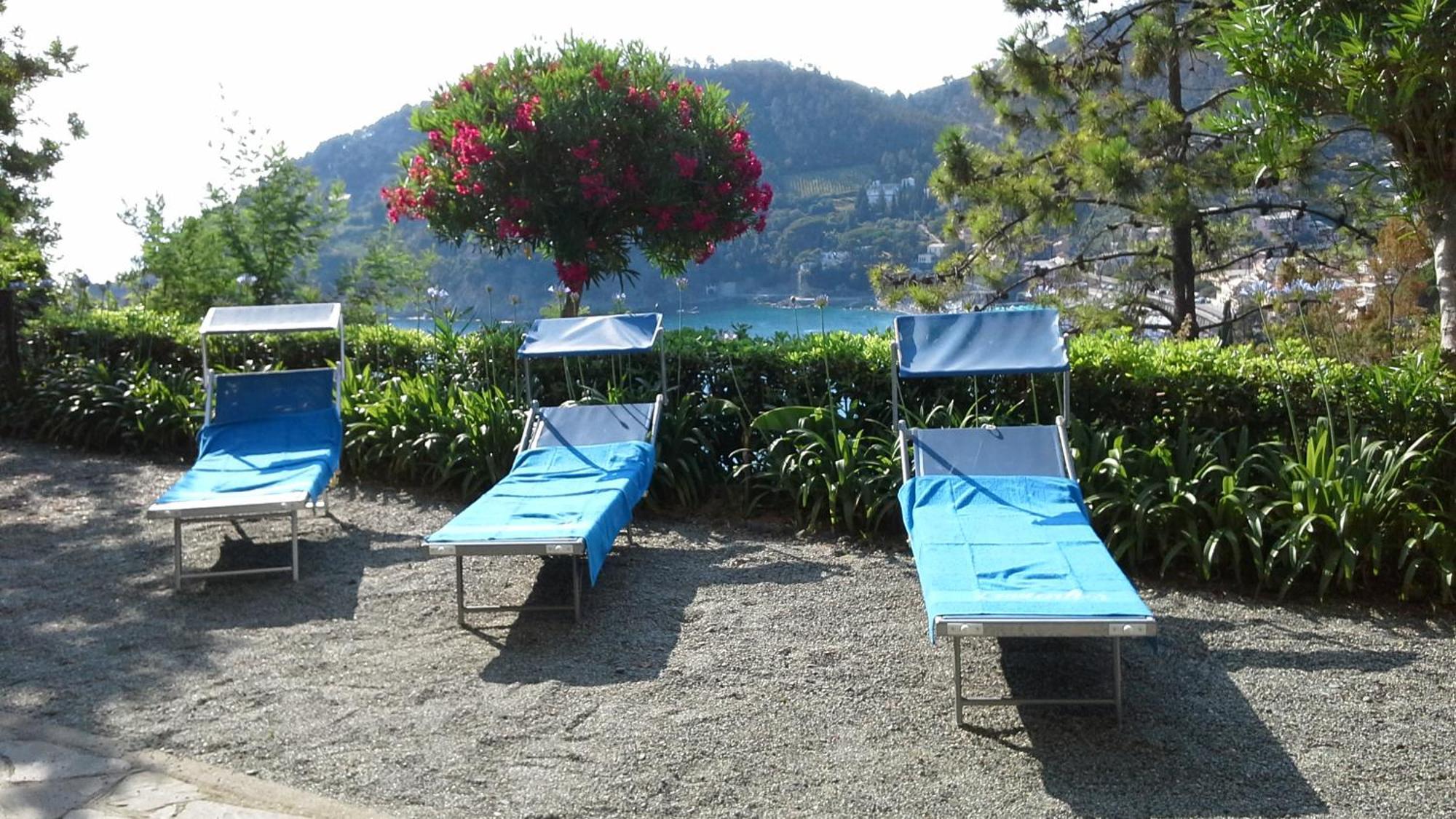 Villa Mimosa Splendida Vista Mare Bonassola Kültér fotó