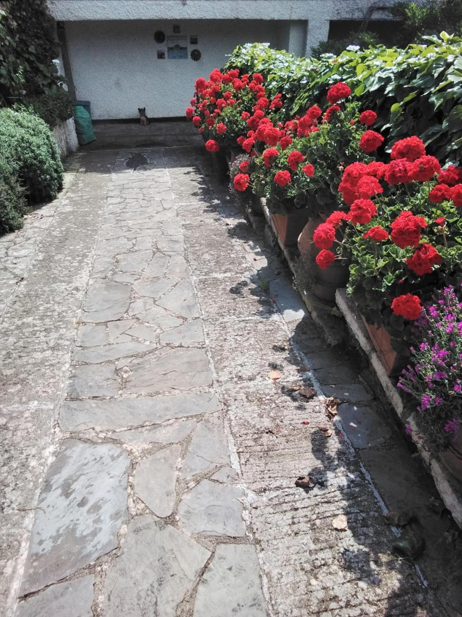 Villa Mimosa Splendida Vista Mare Bonassola Kültér fotó
