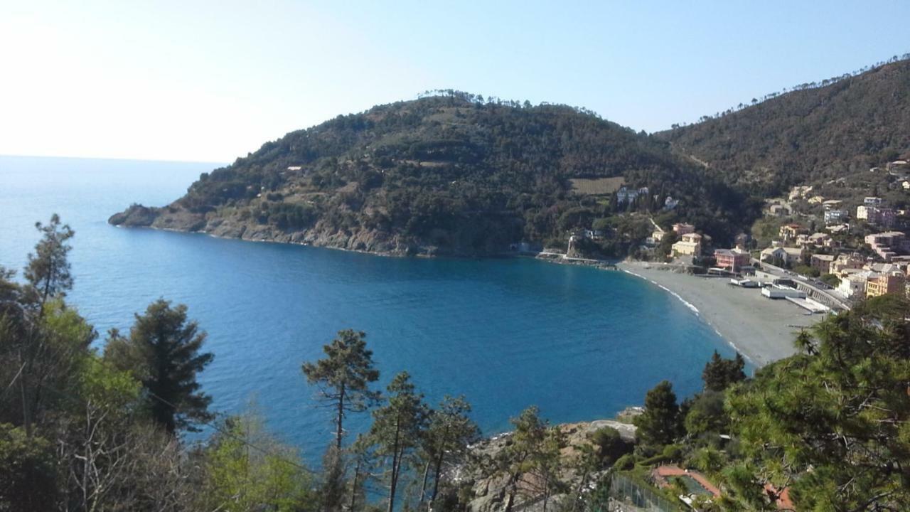 Villa Mimosa Splendida Vista Mare Bonassola Kültér fotó